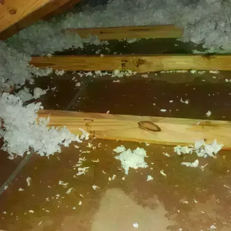 Best Attic Water Damage Service in Logan County, KS