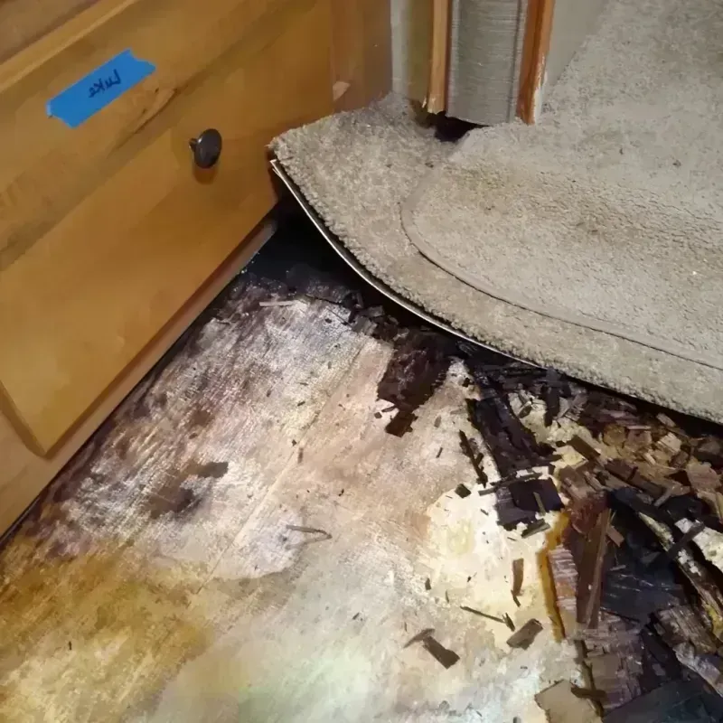 Wood Floor Water Damage in Logan County, KS